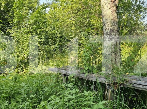 Casa de vânzare 2 camere Lisnau-Vale - 174701CV | BLITZ Sfântu Gheorghe | Poza6