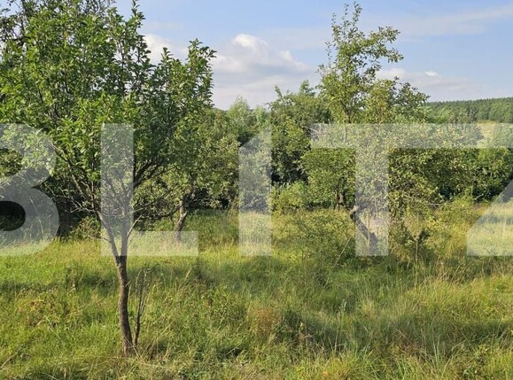 Casa de vânzare 2 camere Lisnau-Vale - 174701CV | BLITZ Sfântu Gheorghe | Poza7