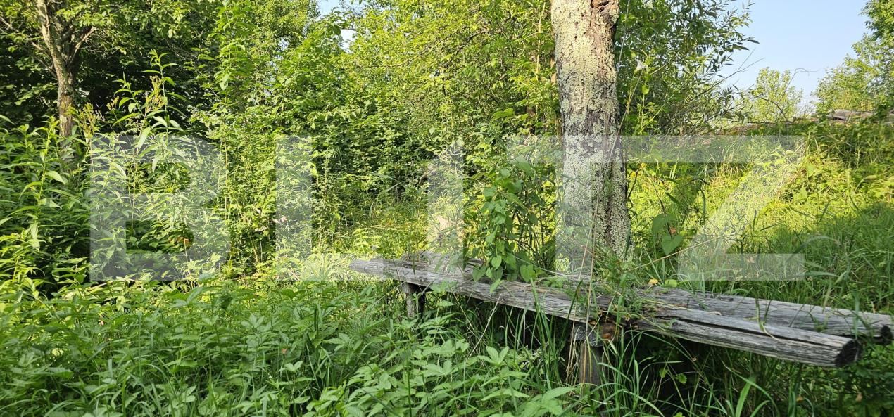 Casa de vânzare 2 camere Lisnau-Vale - 174701CV | BLITZ Sfântu Gheorghe | Poza6