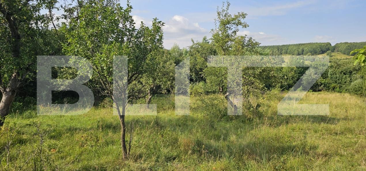 Casa de vânzare 2 camere Lisnau-Vale - 174701CV | BLITZ Sfântu Gheorghe | Poza7