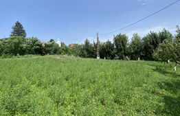 Teren intravilan 3.000 mp cu front stradal 30 m – Sat. Moacșa, utilități.