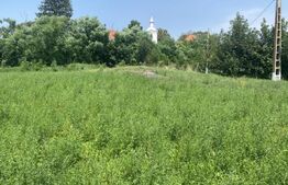 Teren intravilan 3.000 mp cu front stradal 30 m – Sat. Moacșa, utilități.