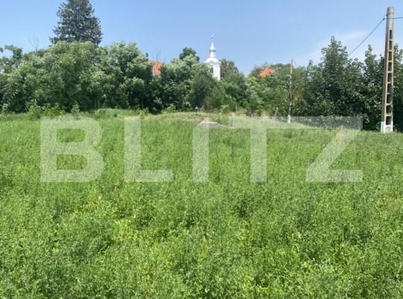 Teren de vânzare Moacsa - 174749TV | BLITZ Sfântu Gheorghe | Poza4