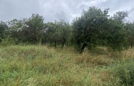 Teren cu potențial rezidențial – Simeria, Sfântu Gheorghe