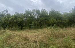 Teren cu potențial rezidențial – Simeria, Sfântu Gheorghe