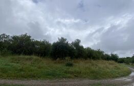 Teren cu potențial rezidențial – Simeria, Sfântu Gheorghe