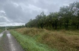 Teren cu potențial rezidențial – Simeria, Sfântu Gheorghe