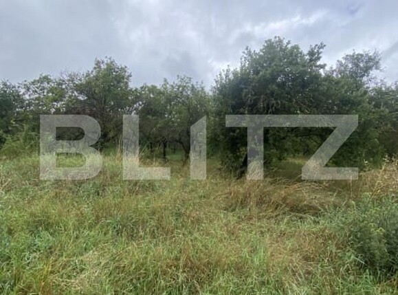 Teren de vânzare Simeria - 174780TV | BLITZ Sfântu Gheorghe | Poza2