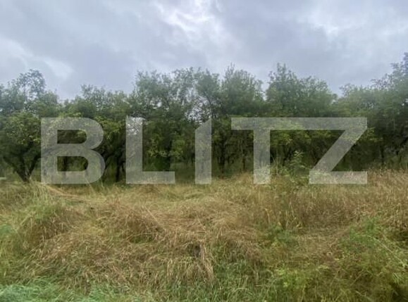 Teren de vânzare Simeria - 174780TV | BLITZ Sfântu Gheorghe | Poza5