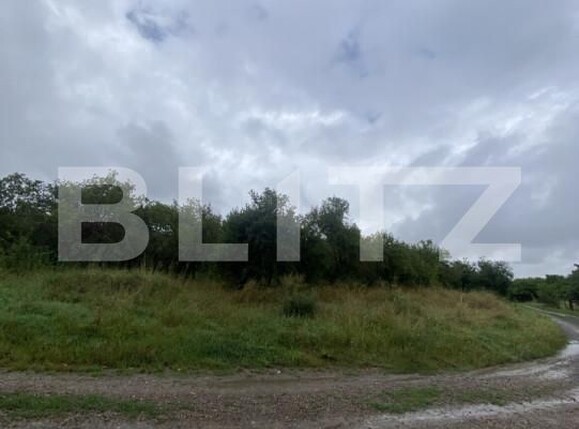 Teren de vânzare Simeria - 174780TV | BLITZ Sfântu Gheorghe | Poza4