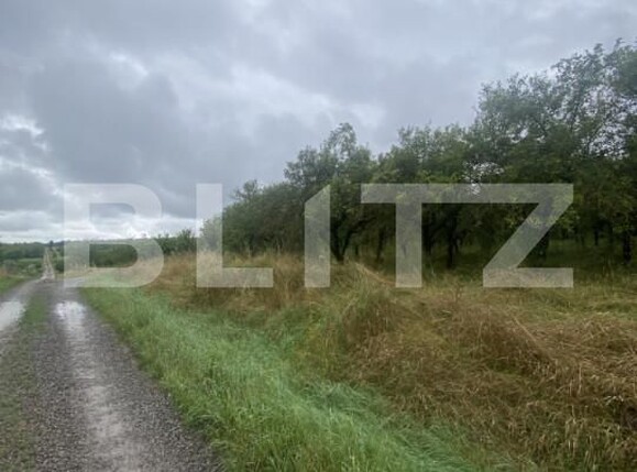 Teren de vânzare Simeria - 174780TV | BLITZ Sfântu Gheorghe | Poza1