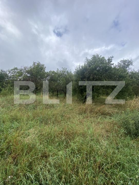 Teren de vânzare Simeria - 174780TV | BLITZ Sfântu Gheorghe | Poza2