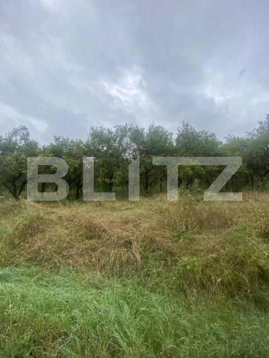 Teren de vânzare Simeria - 174780TV | BLITZ Sfântu Gheorghe | Poza4
