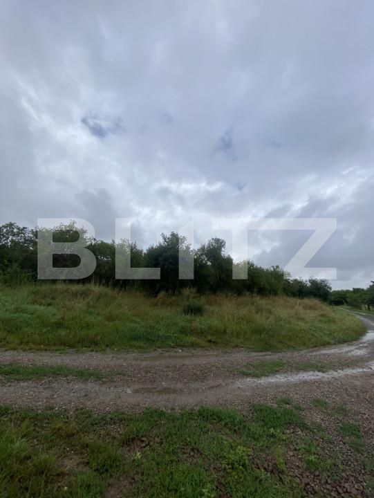 Teren de vânzare Simeria - 174780TV | BLITZ Sfântu Gheorghe | Poza3