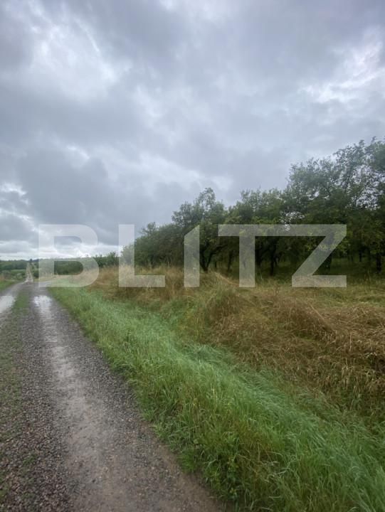 Teren de vânzare Simeria - 174780TV | BLITZ Sfântu Gheorghe | Poza1