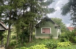 Casă tradițională cu teren generos – Belin