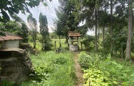 Casă tradițională cu teren generos – Belin