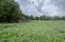 Casă tradițională cu teren generos – Belin