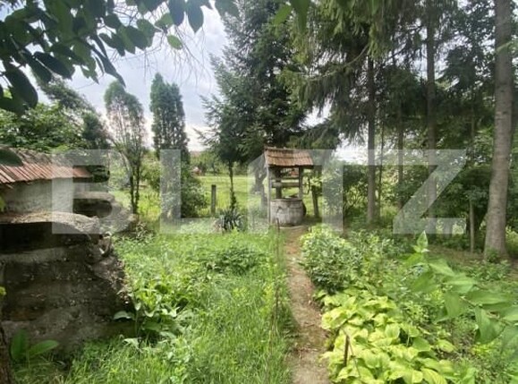 Casa de vânzare 3 camere Belin - 174874CV | BLITZ Sfântu Gheorghe | Poza4