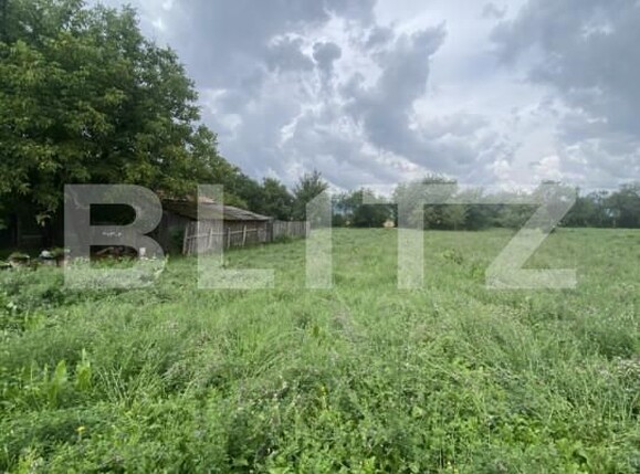 Casa de vânzare 3 camere Belin - 174874CV | BLITZ Sfântu Gheorghe | Poza11