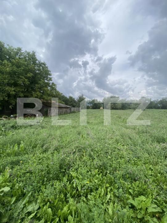Casa de vânzare 3 camere Belin - 174874CV | BLITZ Sfântu Gheorghe | Poza11