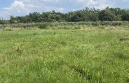 Teren intravilan 1.000 mp cu PUZ aprobat – lângă Sepsi Arena