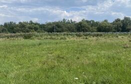 Teren de vânzare Covasna - 187015TV | BLITZ Sfântu Gheorghe | Poza3