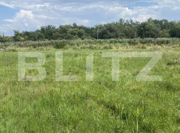 Teren de vânzare Exterior Nord - 175042TV | BLITZ Sfântu Gheorghe | Poza2