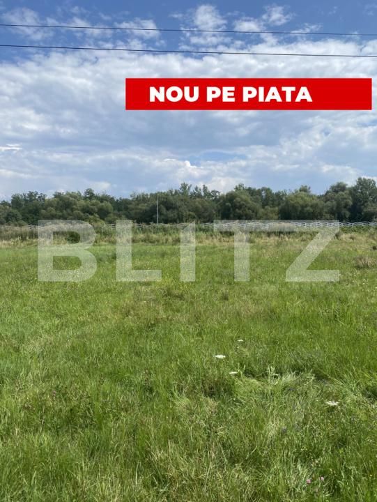 Teren de vânzare Exterior Nord - 175042TV | BLITZ Sfântu Gheorghe | Poza1