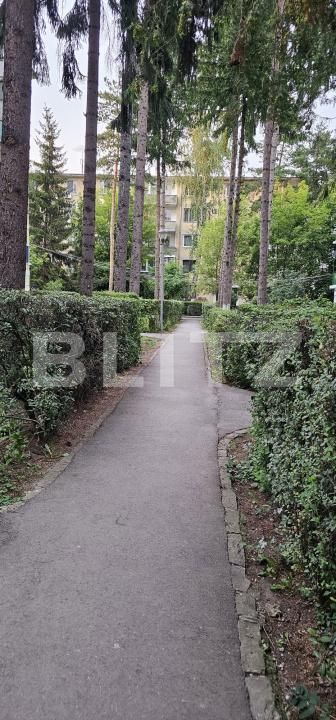 Apartament de vânzare 2 camere Simeria - 175350AV | BLITZ Sfântu Gheorghe | Poza6