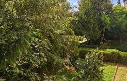 Apartament cu 2 camere, etaj 1, zonă premium, Sf. Gheorghe