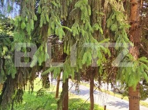 Apartament de vânzare 2 camere Lenin - 175767AV | BLITZ Sfântu Gheorghe | Poza10