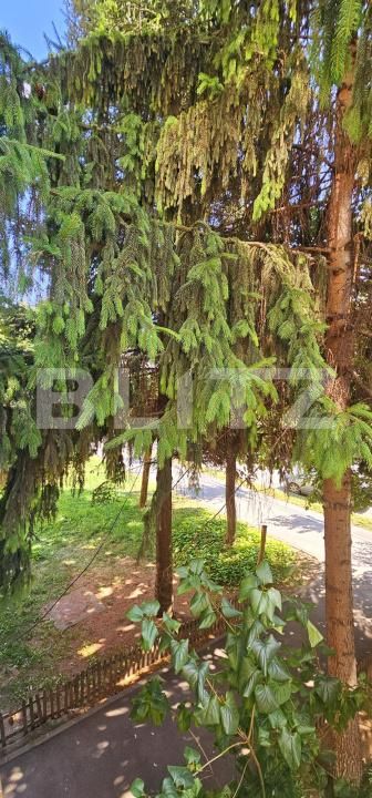 Apartament de vânzare 2 camere Lenin - 175767AV | BLITZ Sfântu Gheorghe | Poza10