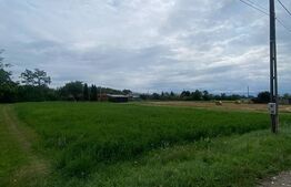 Teren intravilan 1080 mp în Dobolii de Jos I Proiect rezidential sau investitie