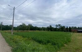 De vânzare teren intravilan 1.080 mp cu utilități – Dobolii de Jos