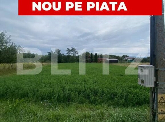 Teren de vânzare Dobolii de Jos - 175818TV | BLITZ Sfântu Gheorghe | Poza1