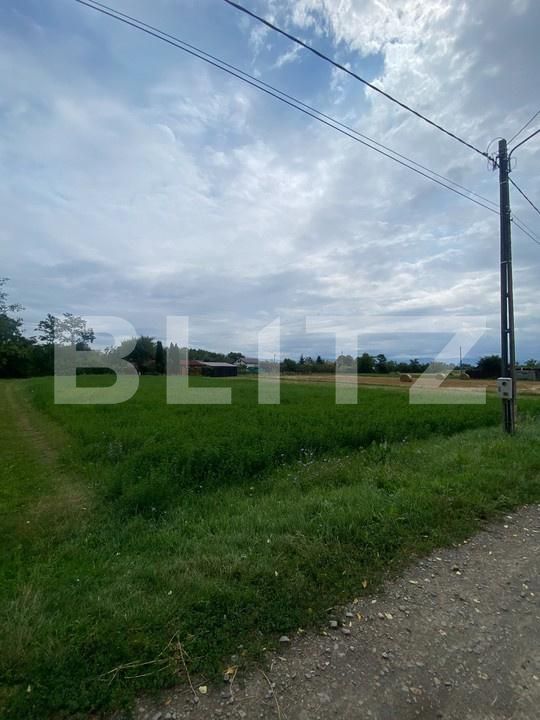 Teren de vânzare Dobolii de Jos - 175818TV | BLITZ Sfântu Gheorghe | Poza3