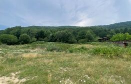 Proprietate pentru turism și agrement, 7.000 mp teren – Ghelința