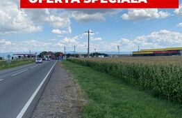 Oportunitate – teren 1HA, front 191 m, Reci, nod de tranzit DN11 – DN13E
