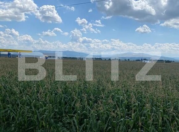 Teren de vânzare Reci - 175959TV | BLITZ Sfântu Gheorghe | Poza3