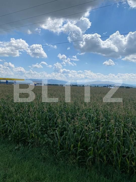 Teren de vânzare Reci - 175959TV | BLITZ Sfântu Gheorghe | Poza3