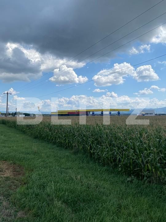 Teren de vânzare Reci - 175959TV | BLITZ Sfântu Gheorghe | Poza2