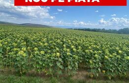 De vânzare teren arabil – 4,58 ha, Moacșa, Covasna