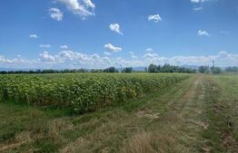 De vânzare teren arabil – 4,58 ha, Moacșa, Covasna