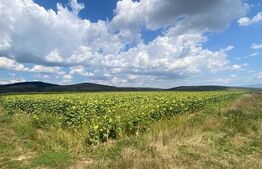 De vânzare teren arabil – 4,58 ha, Moacșa, Covasna