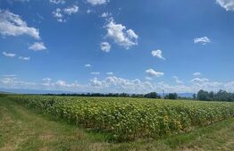 De vânzare teren arabil – 4,58 ha, Moacșa, Covasna