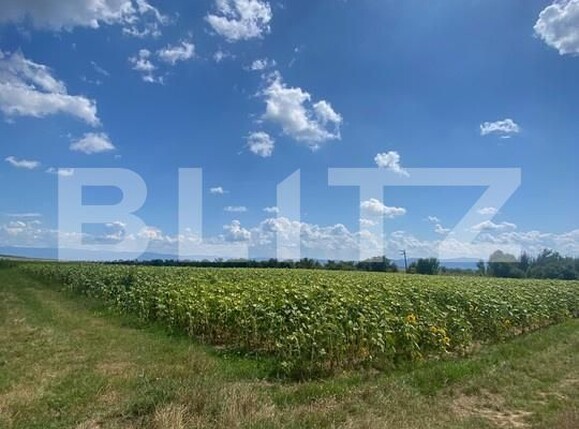 Teren de vânzare Moacsa - 175960TV | BLITZ Sfântu Gheorghe | Poza2