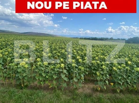 Teren de vânzare Moacsa - 175960TV | BLITZ Sfântu Gheorghe | Poza1