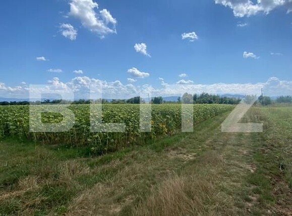 Teren de vânzare Moacsa - 175960TV | BLITZ Sfântu Gheorghe | Poza4