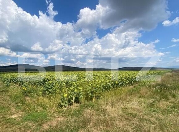 Teren de vânzare Moacsa - 175960TV | BLITZ Sfântu Gheorghe | Poza3